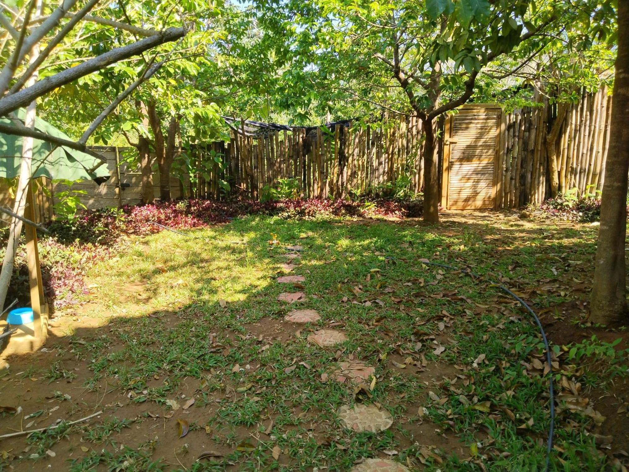 Villa Casa Magica Minca Esterno foto