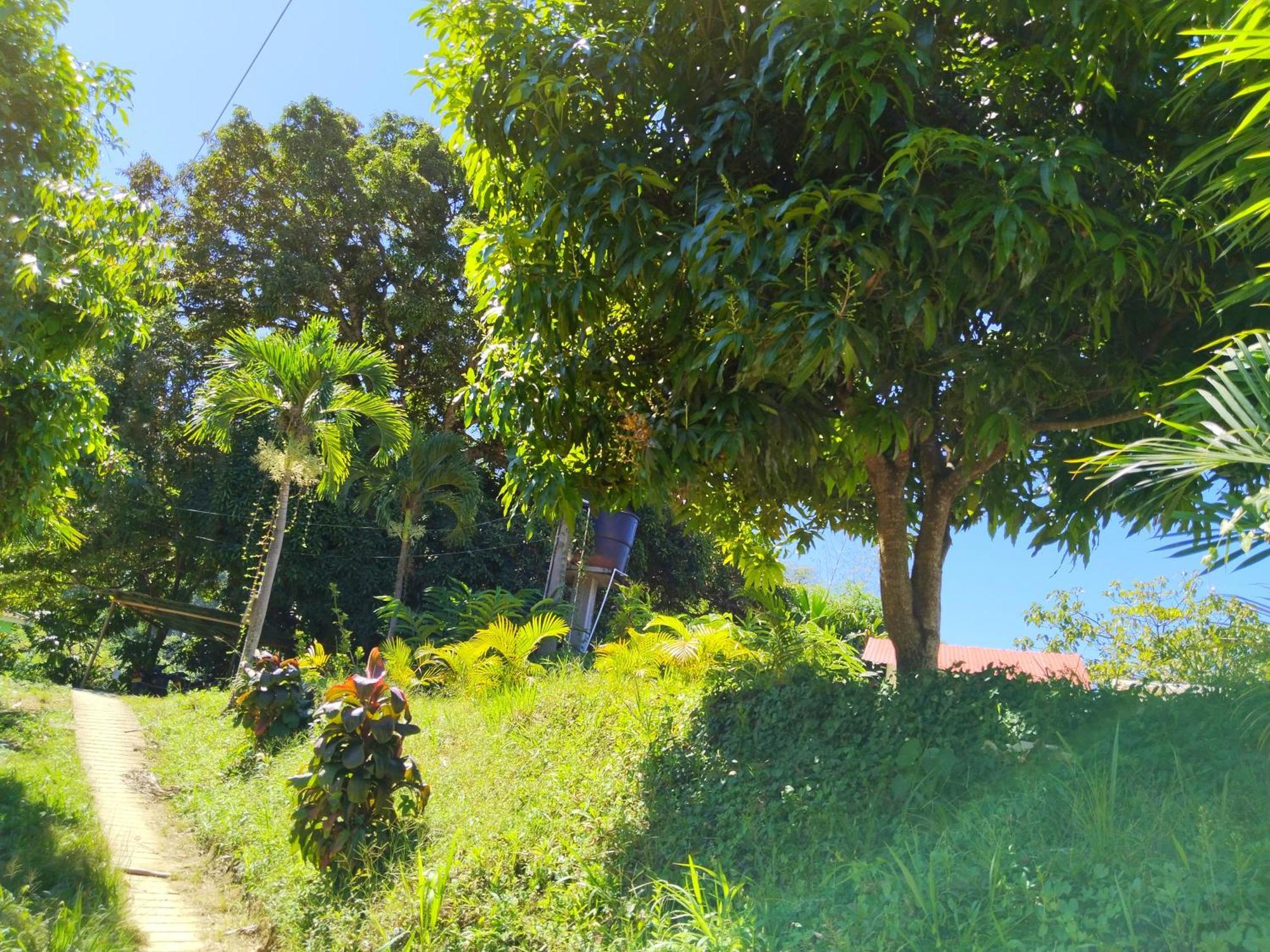 Villa Casa Magica Minca Esterno foto