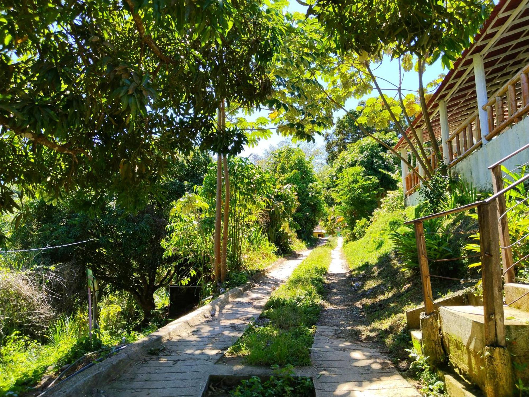 Villa Casa Magica Minca Esterno foto