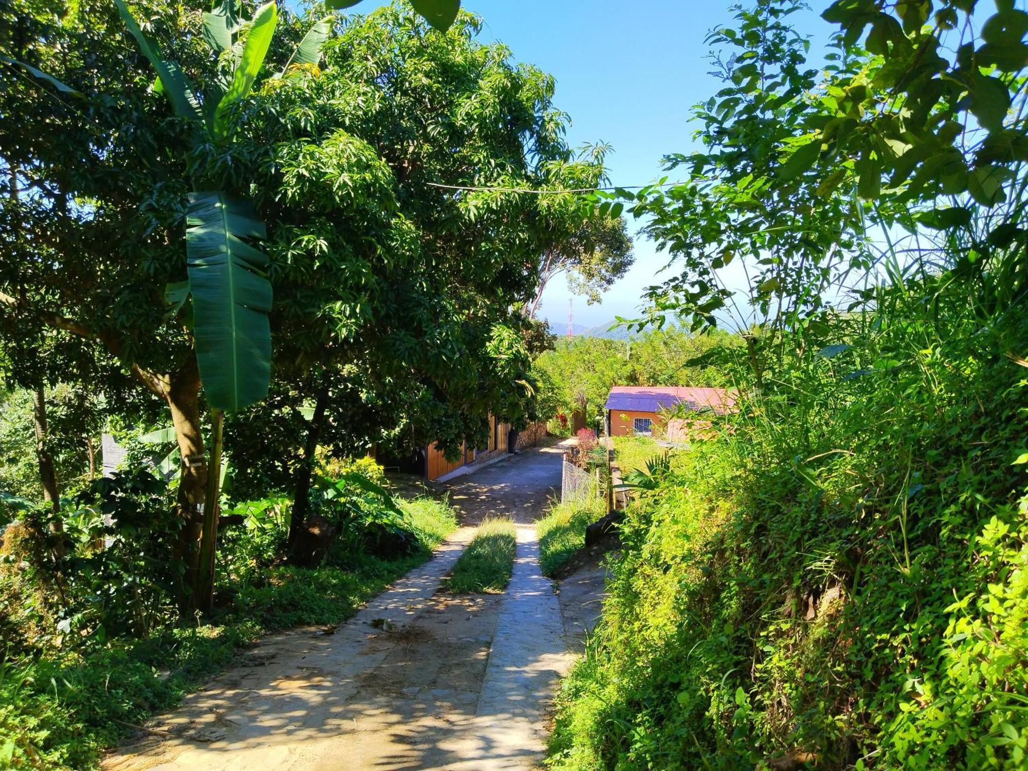 Villa Casa Magica Minca Esterno foto